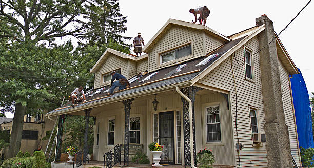 Best Roof Gutter Cleaning  in Belvedere, SC